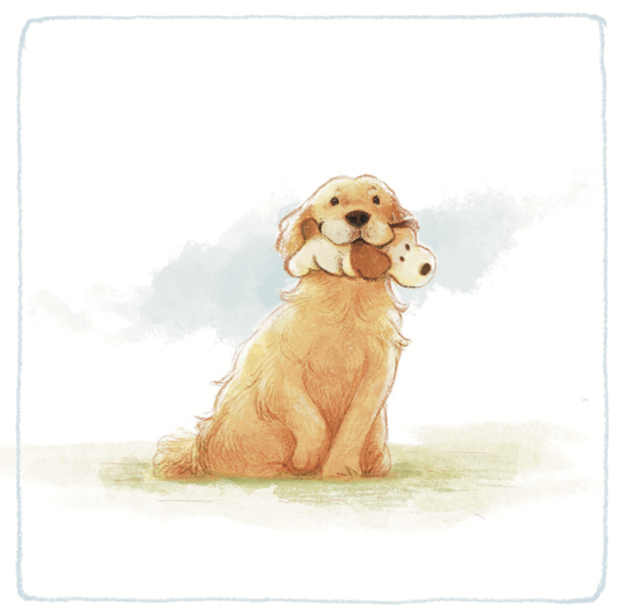 Hachi sitting with a teddy bear in his mouth